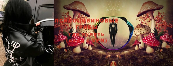 ECSTASY Краснослободск