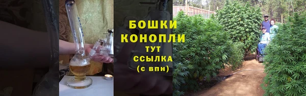 ECSTASY Краснослободск