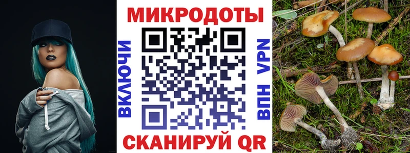 Галлюциногенные грибы GOLDEN TEACHER  Ахтырский 