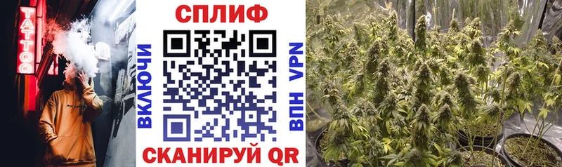 Каннабис марихуана Ахтырский